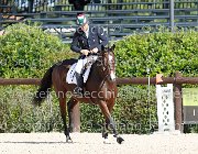 Cellini Dear Vinc GioCav2013 S6 7429 : Campionati Italiani Giovani Cavalli, Cattolica, Cellini Luigi, Dear Vinc, ph Stefano Secchi ©